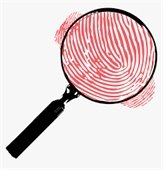 True Crime Book Club