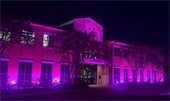City Hall lit in purple for Domestic Violence Month