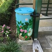 Rain Barrel