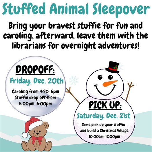 Stuffed Animal Sleepover