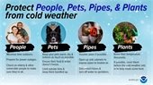 Protect People, Pets, Pipes, and Plants from cold weather