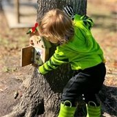 Christmas Fairy Trail