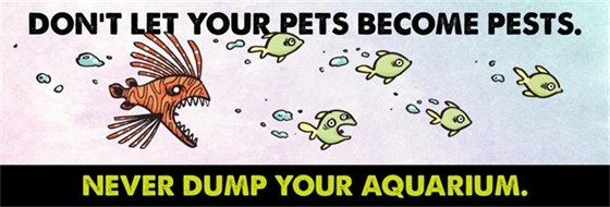 Don't Dump your Aquarium